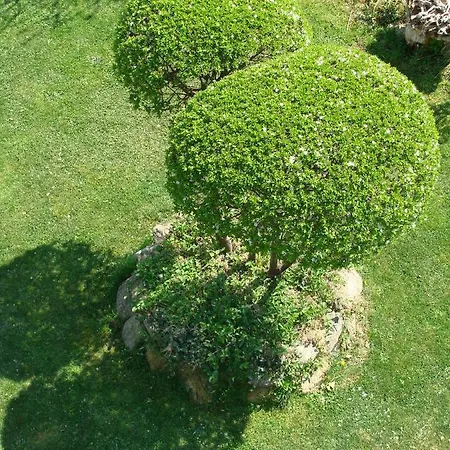 старата къща / село тъжа Tuzha