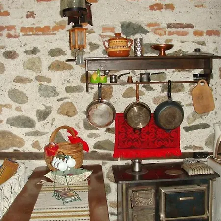 старата къща / село тъжа Holiday home Tuzha
