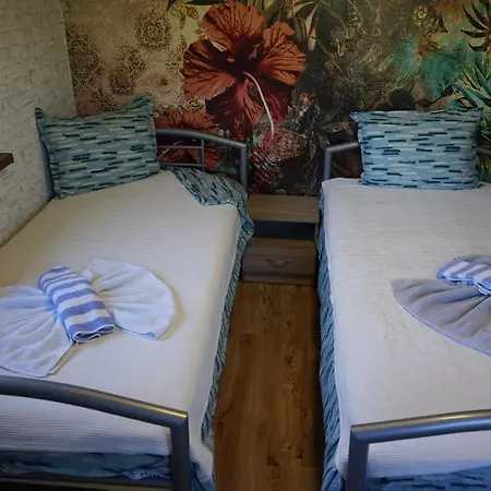 старата къща / село тъжа