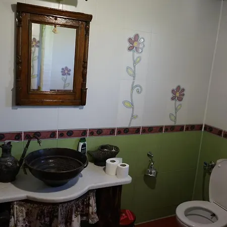 Holiday home старата къща / село тъжа