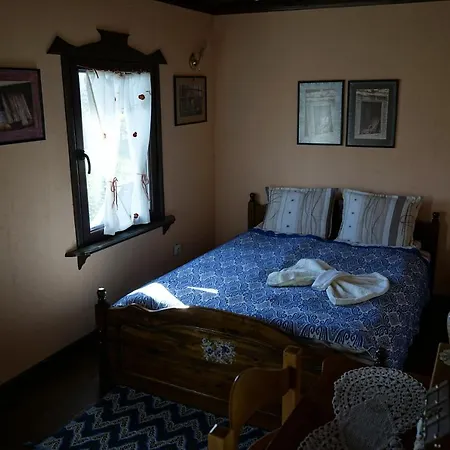 старата къща / село тъжа Holiday home Tuzha