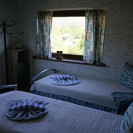 Σπίτι διακοπών старата къща / село тъжа